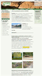 Mobile Screenshot of geomin.cz
